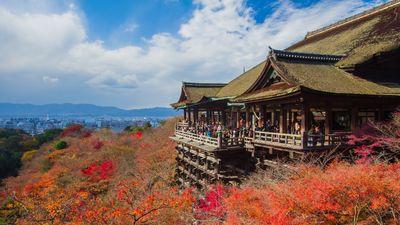 GDAY JAPAN SPECIAL + TOKYO DISNEYSEA & UNIVERSAL STUDIOS JAPAN - Image - 1120